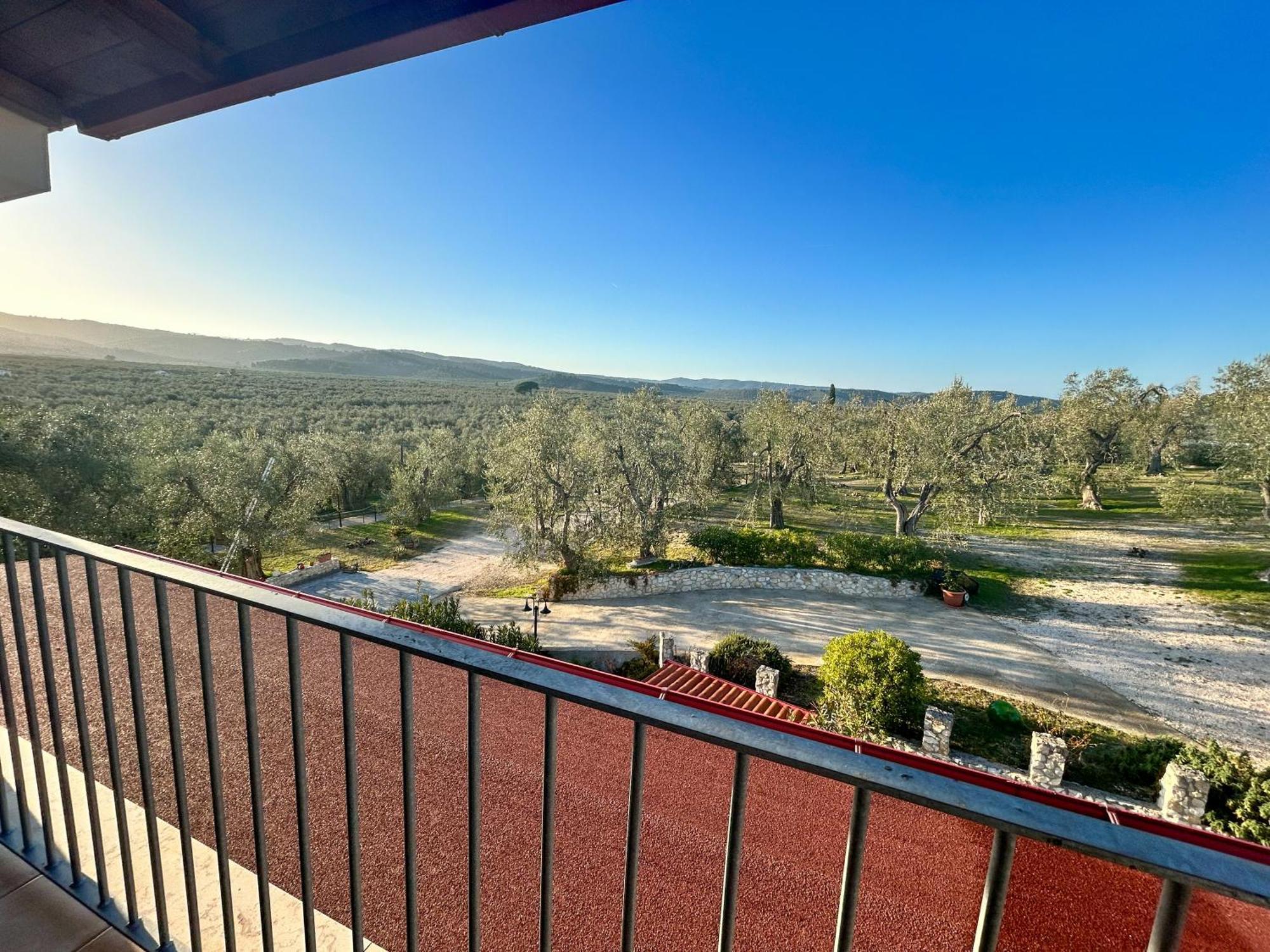 Valle Degli Ulivi B&B Vieste Zewnętrze zdjęcie