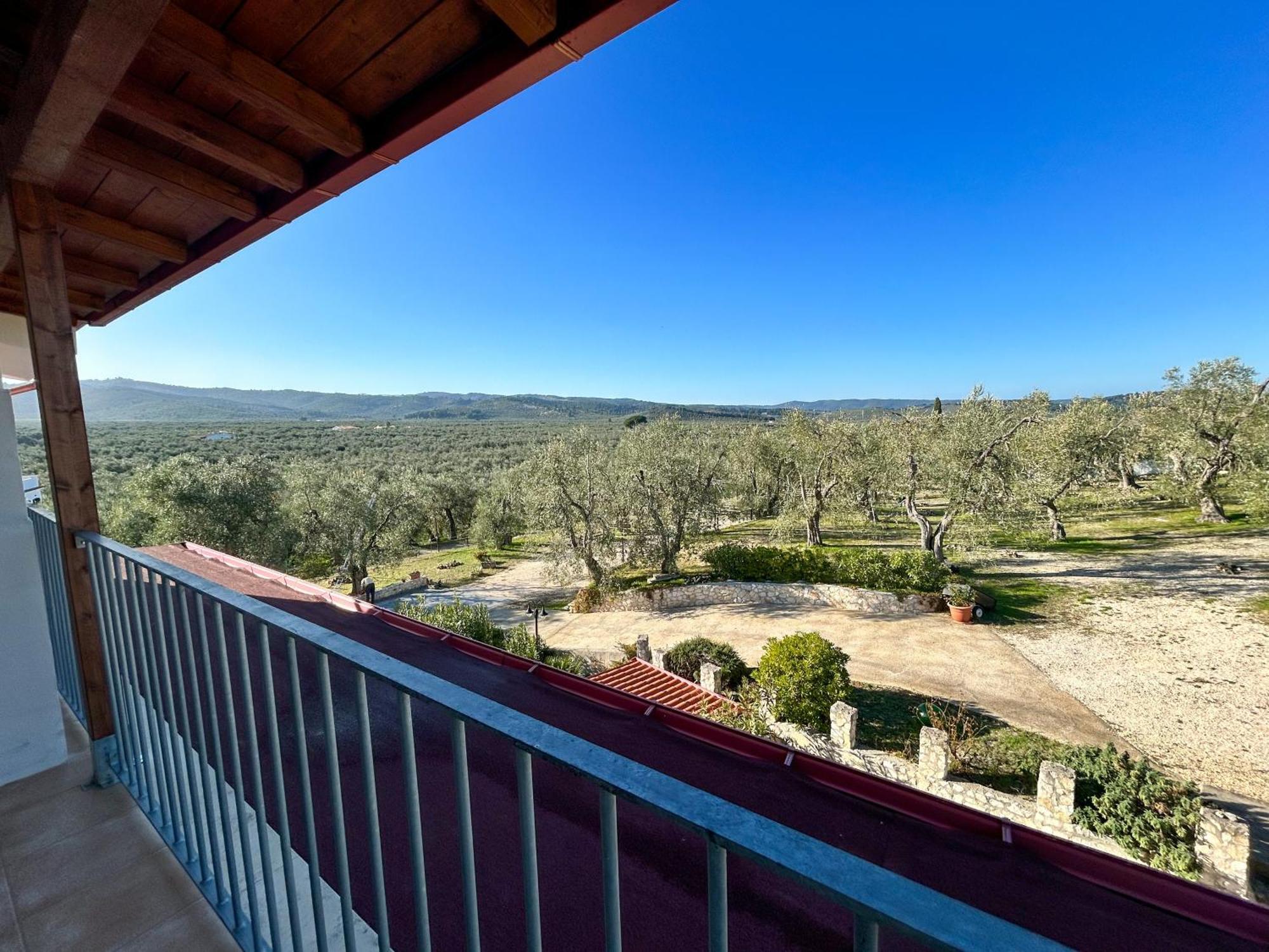 Valle Degli Ulivi B&B Vieste Zewnętrze zdjęcie